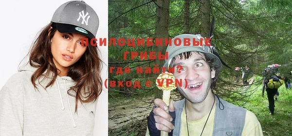 стаф Мегион