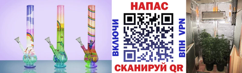 наркота  Россошь  МАРИХУАНА LSD WEED 